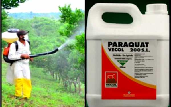 paraquat